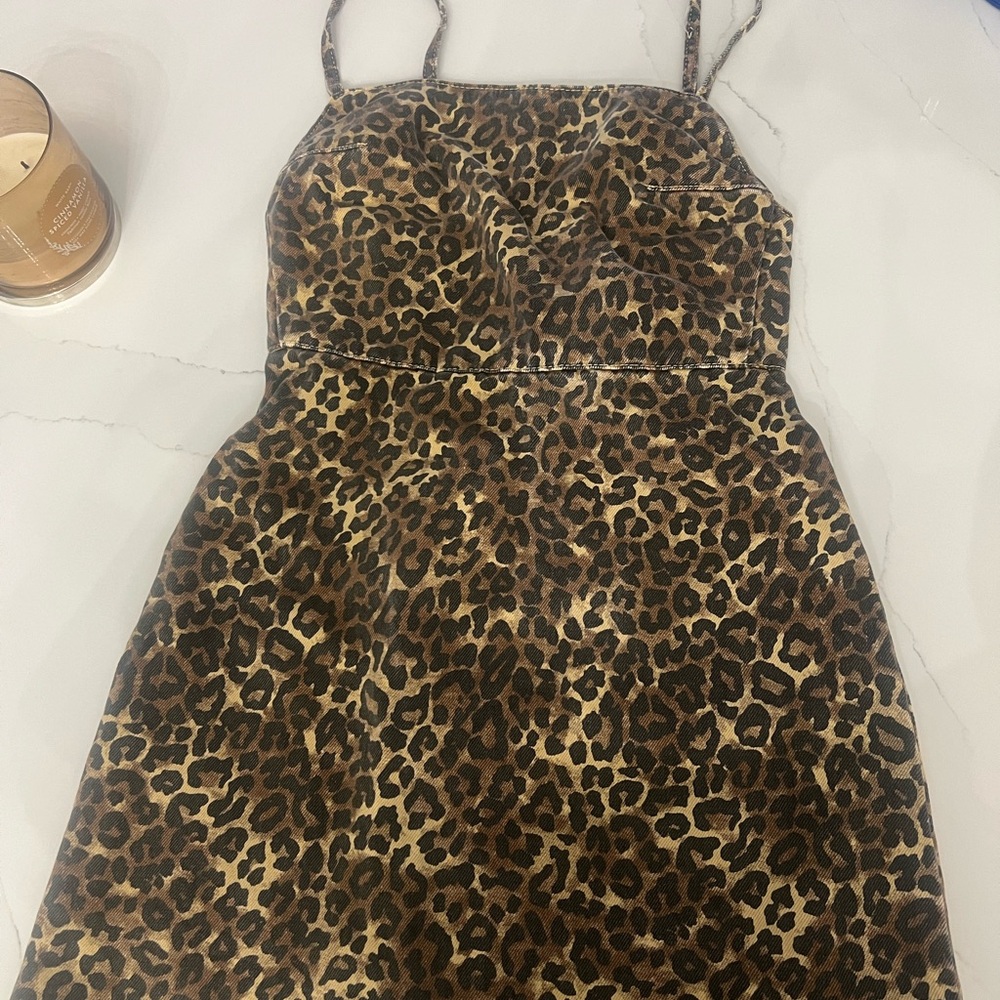 Leopard Zara Print Dress